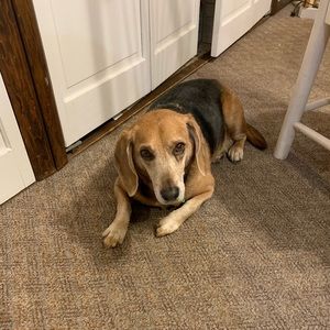 Meet your Posher, Laura